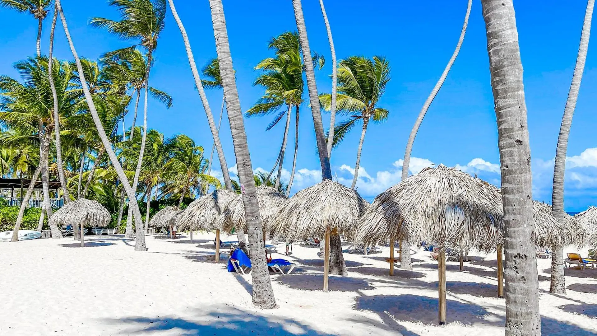 ***** Hotel Ducassi Suites Rooms & Beach - Playa Bavaro - Wifi - Parking - Rooftop Pool & Spa Punta Cana Dominican Republic